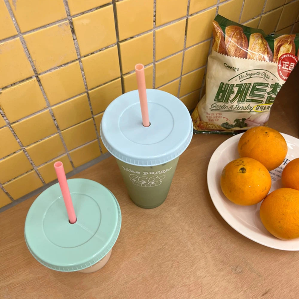 Reusable Plastic Cups With Lid Straw 480/700ML Water Bottle Drinking Bottle BPA Free Transparent Coffee Cup Milk Juice Mugs