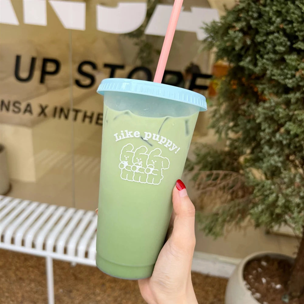 Reusable Plastic Cups With Lid Straw 480/700ML Water Bottle Drinking Bottle BPA Free Transparent Coffee Cup Milk Juice Mugs